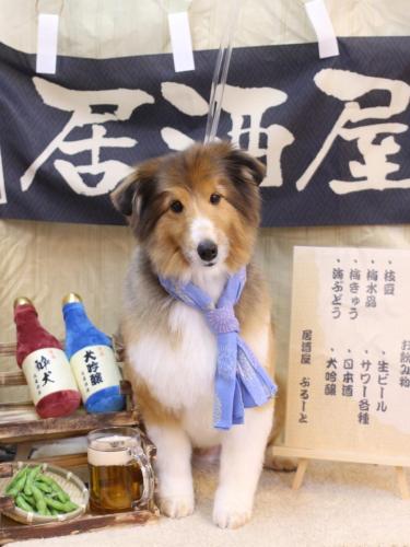 20240616リクくん